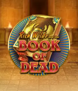 Enter the thrilling world of Book of Dead by Play'n GO, presenting vivid graphics of Rich Wilde’s adventurous journey through ancient Egyptian tombs and artifacts. Uncover lost riches with captivating mechanics like free spins, expanding symbols, and a gamble option. Ideal for those seeking adventure with a desire for exciting finds.